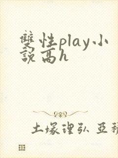双性play小说高h