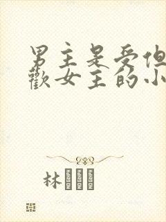 男主是受但是喜欢女主的小说