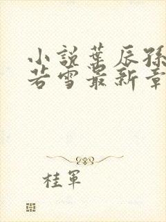 小说叶辰孙怡夏若雪最新章节阅读