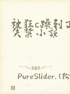 被狂c躁到高潮失禁小说