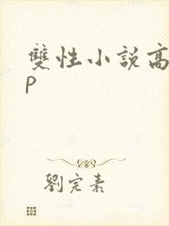 双性小说高hnp