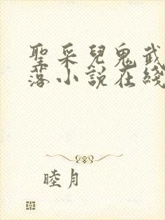 圣采儿鬼武的堕落小说在线阅读