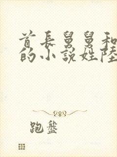 首长舅舅和女主的小说姓陆