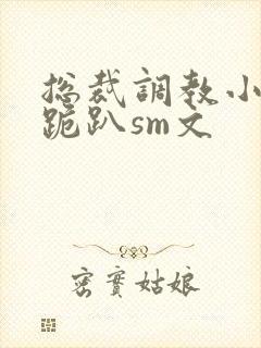 总裁调教小秘书跪趴sm文