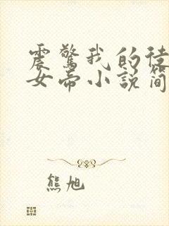 震惊我的徒弟是女帝小说简介