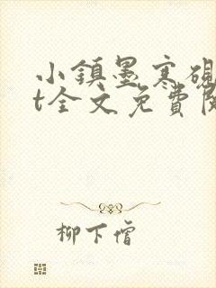 小镇墨寒砚txt全文免费阅读封面