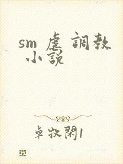 sm 虐 调教 小说