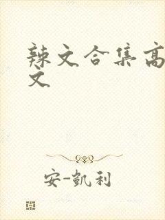 辣文合集高h辣文