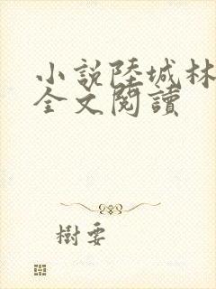 小说陆城林清研全文阅读