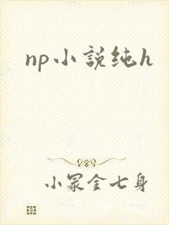 np小说纯h