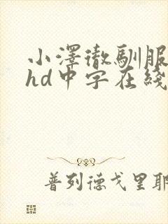 小泽彻驯服人妻hd中字在线封面