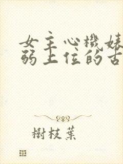 女主心机婊装柔弱上位的古言封面