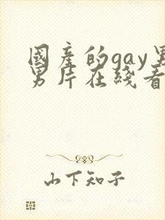 国产的gay男男片在线看