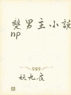 双男主小说高hnp