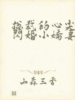 总裁的心尖宠是闪婚小娇妻