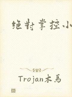 绝对掌控小说