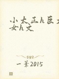 小太正h巨大熟女h文