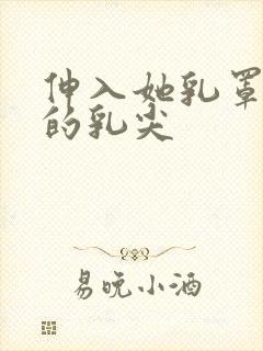 伸入她乳罩揉她的乳尖