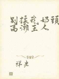 别揉我奶头嗯啊高潮主人