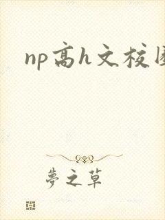 np高h文校园封面