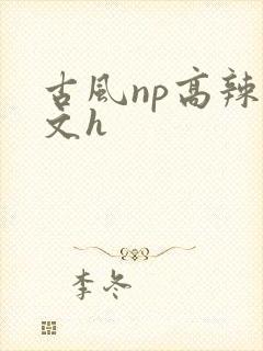 古风np高辣爽文h
