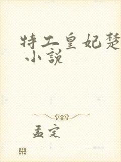 特工皇妃楚乔传 小说