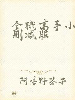 全职高手小说无删减版封面