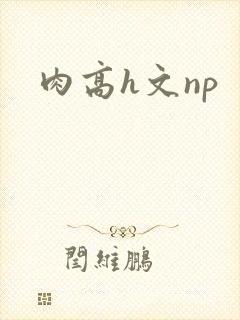 肉高h文np