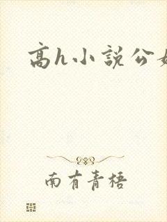 高h小说公媳