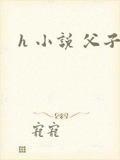 h 小说 父子