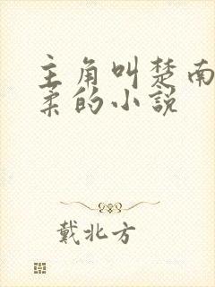 主角叫楚南秦雅柔的小说封面