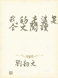 我的老婆是总裁全文阅读