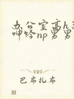 办公室高h荡肉呻吟np男男封面