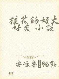 校花的好大的奶 好爽 小说