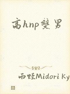 高hnp双男封面