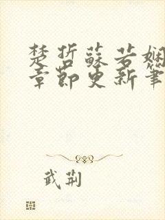 楚哲苏若娴最新章节更新笔趣阁