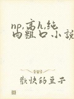 np,高h,纯肉粗口小说