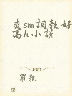 爽sm调教好舒高h小说