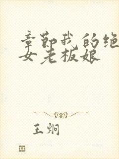 章节我的绝色美女老板娘