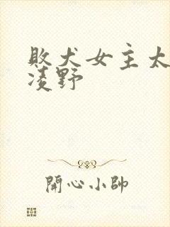 败犬女主太多了凌野封面