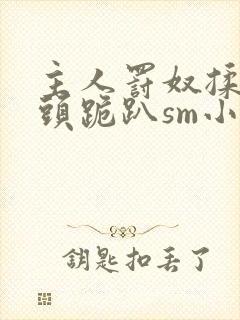 主人罚奴揉捏奶头跪趴sm小说