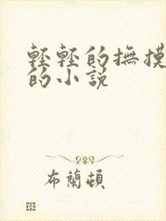 轻轻的抚摸乳房的小说