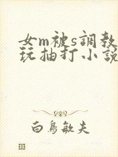 女m被s调教虐玩抽打小说封面