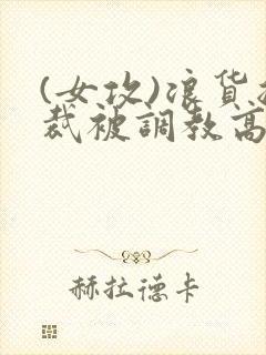 (女攻)浪货总裁被调教高h封面