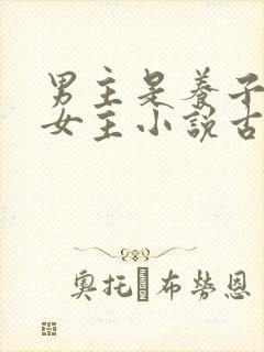 男主是养子爱上女主小说古言