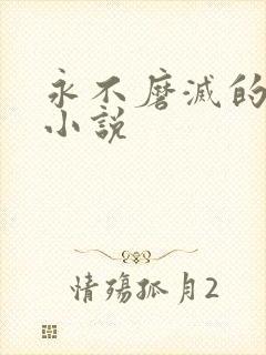 永不磨灭的番号小说