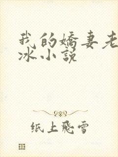 我的娇妻老婆林冰小说