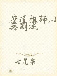 魔道祖师,小说无删减封面