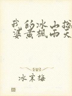 我的冰山总裁老婆黄枫雨天
