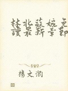 林北苏婉免费阅读最新章节笔趣阁封面